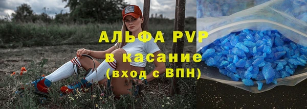 прущие крисы Алзамай
